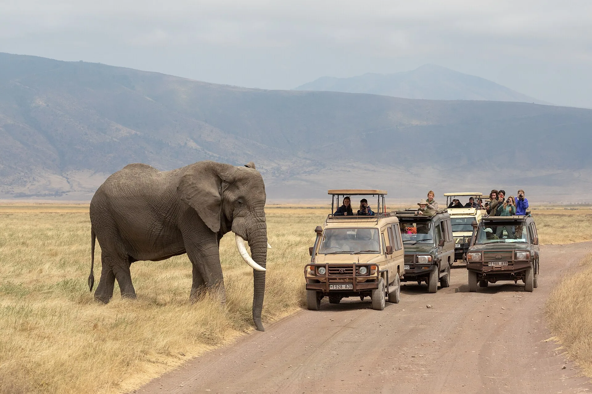 Vista aérea del cráter de Ngorongoro en Tanzania
